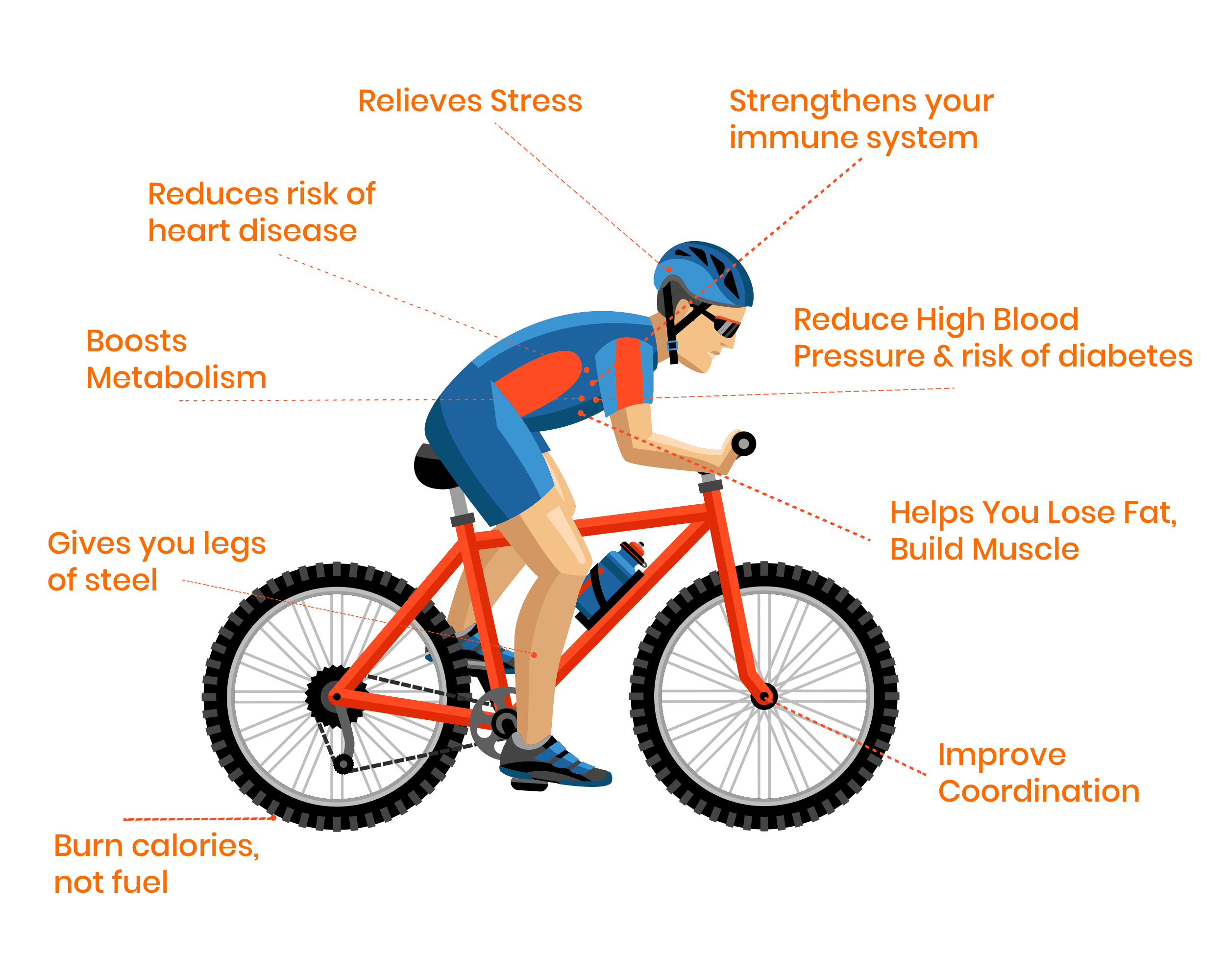 benifits of cycling